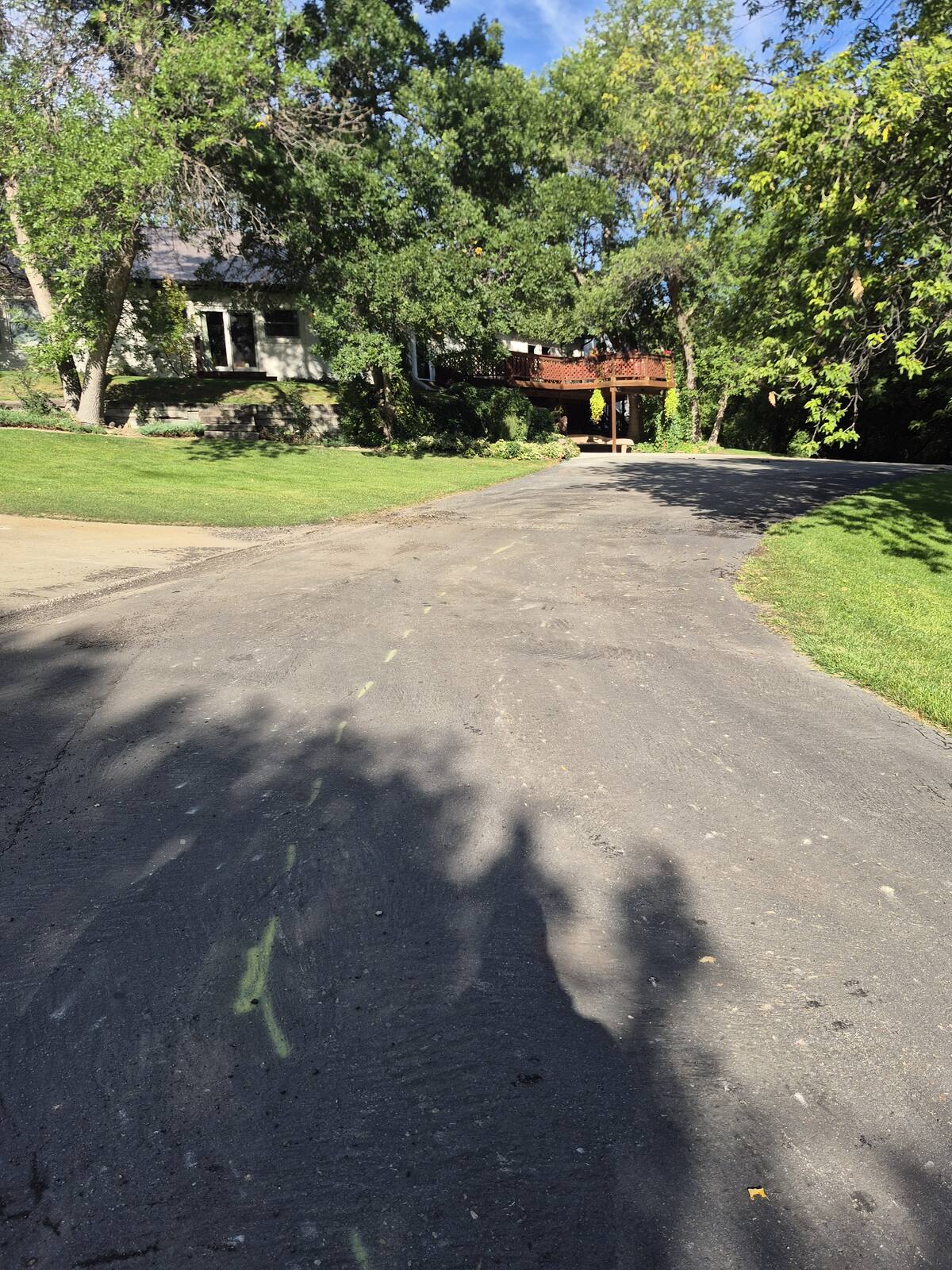 Worn gray asphalt driveway curving toward a house under tall trees before the overlay